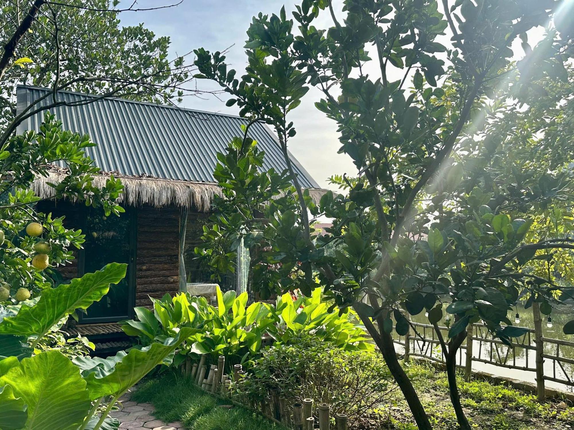 Peaceful Refuge Homestay Ninh Binh Exterior photo